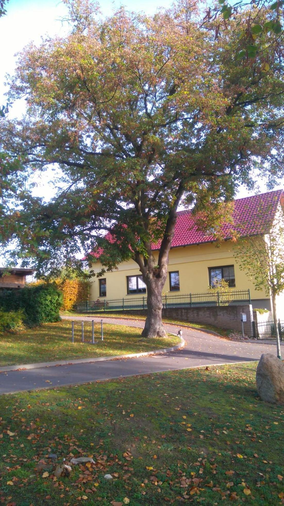 Ferienwohnung Perlitz Petersdorf  Екстериор снимка